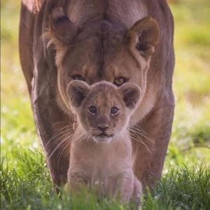 Meet your Posher, Florence